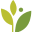 Athenahealth logo